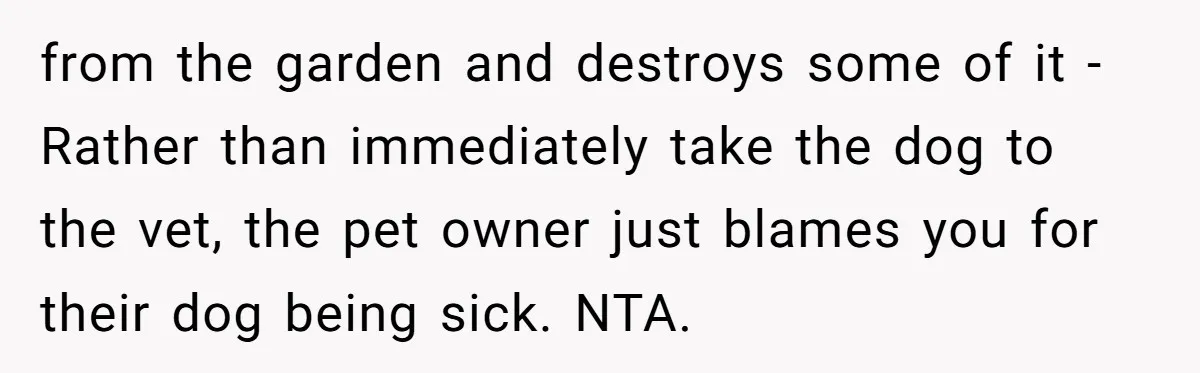 Woman Hosts Party, Friend Dumps Dog In Garden, Then Demands Answers When It Gets Sick from the garden and destroys some of it - Rather than immediately take the dog to the vet, the pet owner just blames you for their dog being sick. NTA.