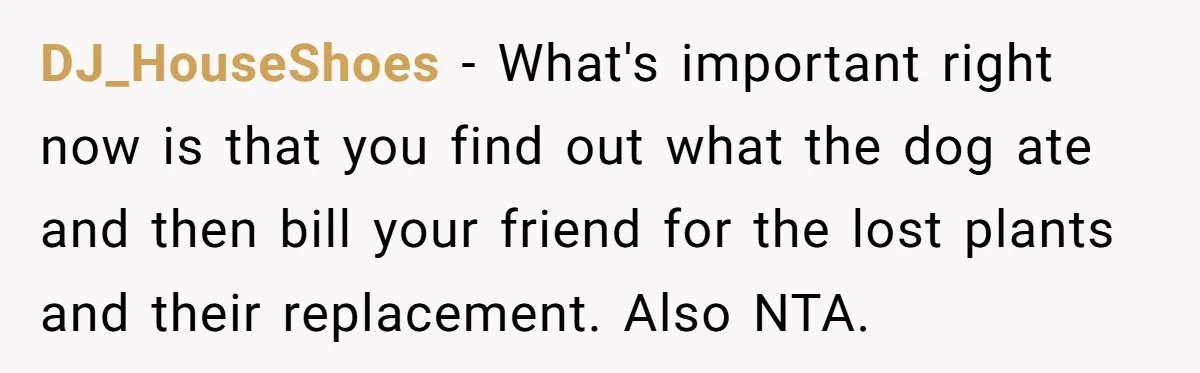 Woman Hosts Party, Friend Dumps Dog In Garden, Then Demands Answers When It Gets Sick DJ_HouseShoes − What's important right now is that you find out what the dog ate and then bill your friend for the lost plants and their replacement. Also NTA.