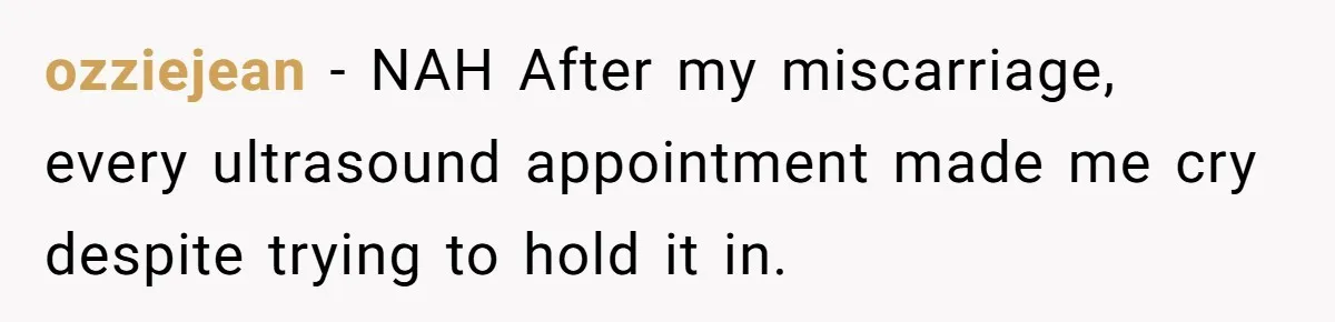Wife Calls Husband ‘Unreliable’ After He Misses High-Risk Pregnancy Appointment For Sister’s Minor Injury ozziejean − NAH After my miscarriage, every ultrasound appointment made me cry despite trying to hold it in.