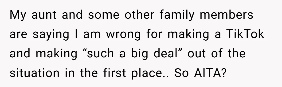 Grieving Mom Sets Boundaries After Cousin Tries to Use Her Deceased Daughter’s Name My aunt and some other family members are saying I am wrong for making a TikTok and making “such a big deal” out of the situation in the first place.....