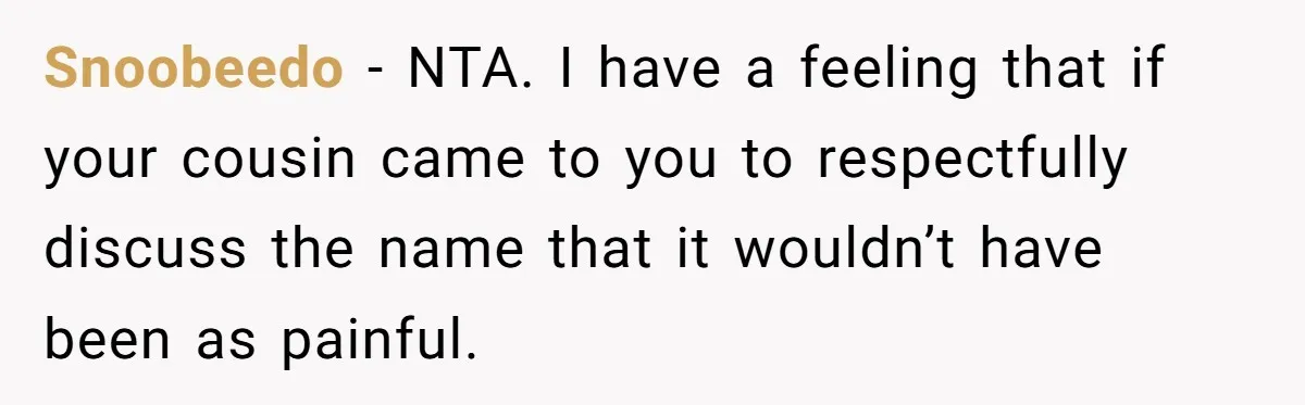 Grieving Mom Sets Boundaries After Cousin Tries to Use Her Deceased Daughter’s Name Snoobeedo − NTA. I have a feeling that if your cousin came to you to respectfully discuss the name that it wouldn’t have been as painful.