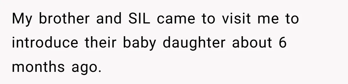 Aspiring Author Accuses SIL Of Plagiarism, Parents Threaten To Disown Her Instead My brother and SIL came to visit me to introduce their baby daughter about 6 months ago.