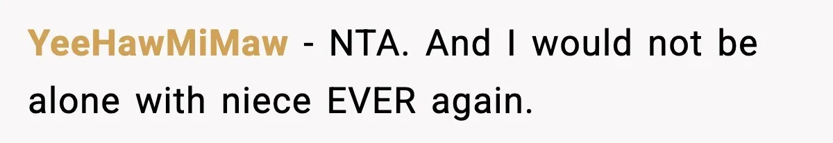 Bridesmaid Gets Publicly Shamed in MOH Speech, Then Sister Blames Her for Leaving YeeHawMiMaw - NTA. And I would not be alone with niece EVER again.
