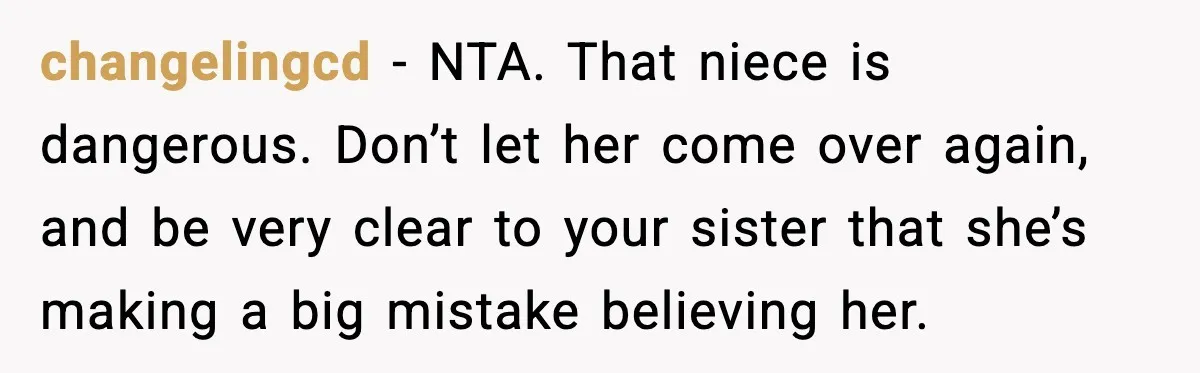 Bridesmaid Gets Publicly Shamed in MOH Speech, Then Sister Blames Her for Leaving changelingcd - NTA. That niece is dangerous. Don’t let her come over again, and be very clear to your sister that she’s making a big mistake believing her.