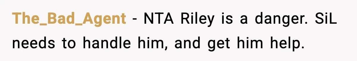 Pregnant Woman Bans Nephew Forever After He Shoves Her Into A Wall The_Bad_Agent − NTA Riley is a danger. SiL needs to handle him, and get him help.