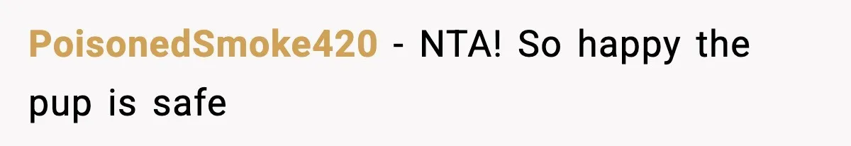 Teen Calls Sister ‘Disgusting’ After She Steals Ex’s Dog And Threatens To Kill It PoisonedSmoke420 − NTA! So happy the pup is safe