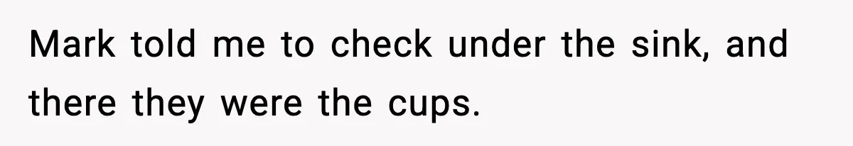 Mark told me to check under the sink, and there they were the cups.