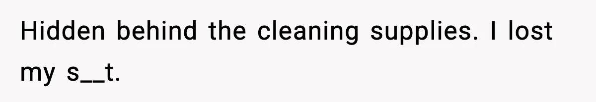 Hidden behind the cleaning supplies. I lost my s__t.