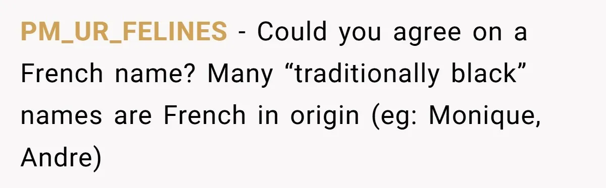 Mom Refuses ‘Black’ Names for Her Baby, Fearing They’ll Hurt Career Opportunities PM_UR_FELINES − Could you agree on a French name? Many “traditionally black” names are French in origin (eg: Monique, Andre)