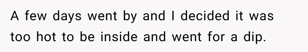 “My Backyard, My Rules”: A Tale of Summer Revenge Against Nosy Neighbors A few days went by and I decided it was too hot to be inside and went for a dip.