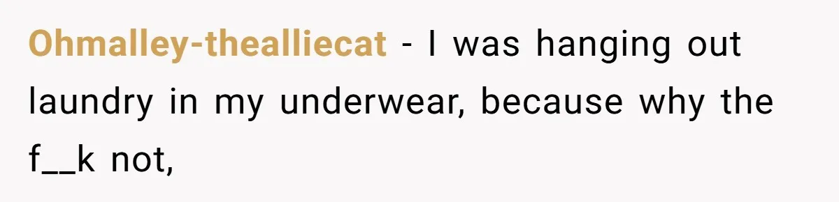“My Backyard, My Rules”: A Tale of Summer Revenge Against Nosy Neighbors Ohmalley-thealliecat − I was hanging out laundry in my underwear, because why the f__k not,