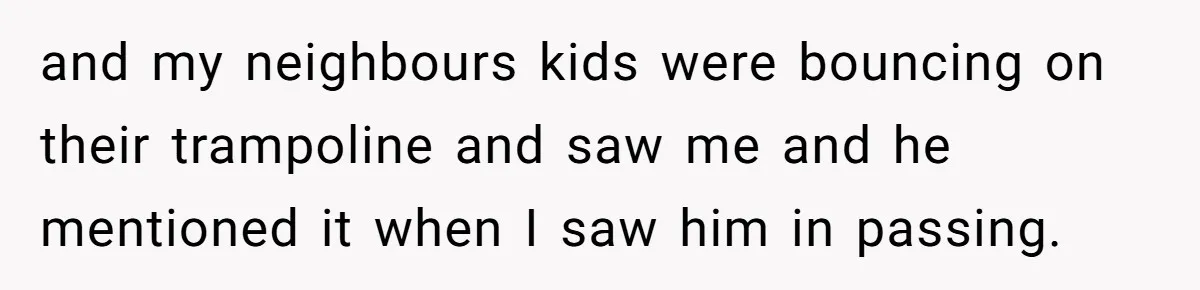 “My Backyard, My Rules”: A Tale of Summer Revenge Against Nosy Neighbors and my neighbours kids were bouncing on their trampoline and saw me and he mentioned it when I saw him in passing.
