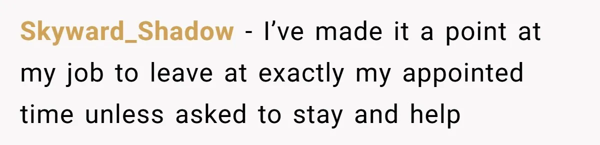 Boss Demands Accurate Time Logging to Catch ‘Dishonesty’ - Employee Complies, Overtime Explodes Skyward_Shadow − I’ve made it a point at my job to leave at exactly my appointed time unless asked to stay and help