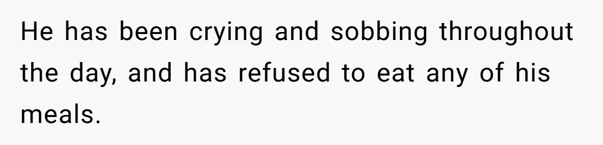 Son’s Year-Long Minecraft Project Deleted Over Wake-Up Issues - Was It Too Far? He has been crying and sobbing throughout the day, and has refused to eat any of his meals.