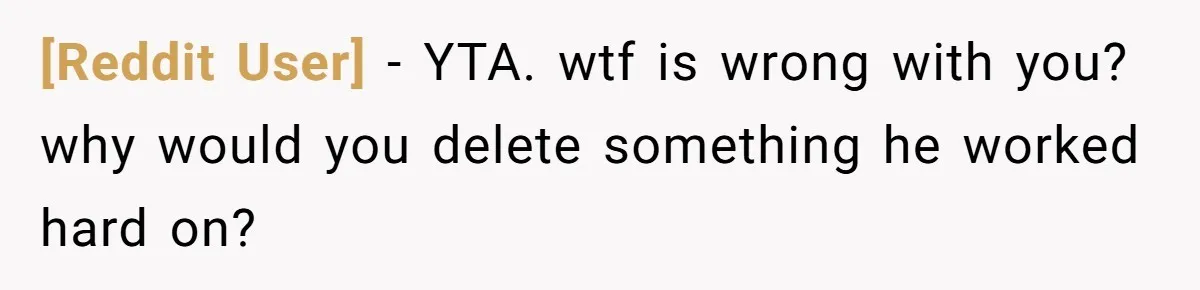 [Reddit User] − YTA. wtf is wrong with you? why would you delete something he worked hard on?