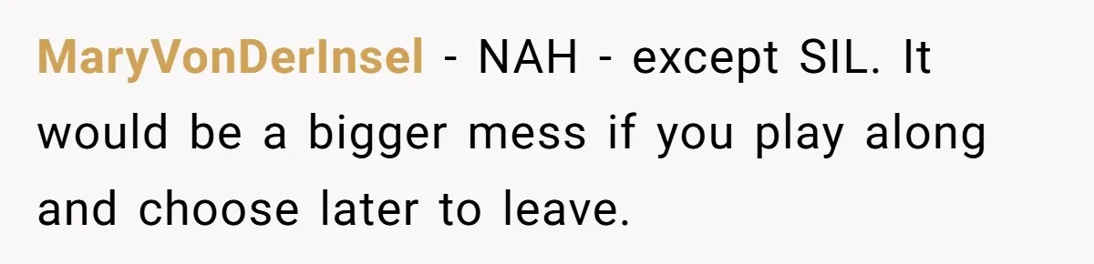 Woman Wants Divorce After Husband Suddenly Decides To Raise Three Abandoned Kids Without Her Consent MaryVonDerInsel − NAH - except SIL. It would be a bigger mess if you play along and choose later to leave.