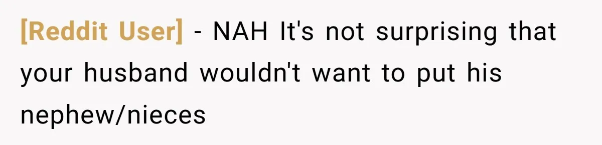 [Reddit User] − NAH It's not surprising that your husband wouldn't want to put his nephew/nieces