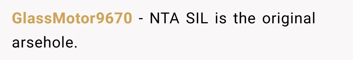 Woman Wants Divorce After Husband Suddenly Decides To Raise Three Abandoned Kids Without Her Consent GlassMotor9670 − NTA SIL is the original arsehole.