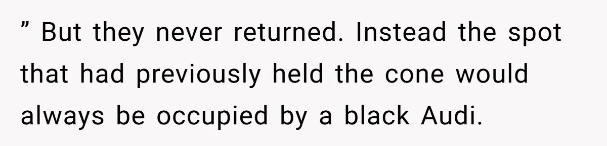 ” But they never returned. Instead the spot that had previously held the cone would always be occupied by a black Audi.