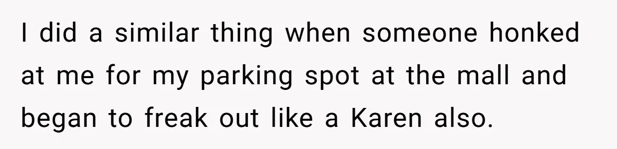 I did a similar thing when someone honked at me for my parking spot at the mall and began to freak out like a Karen also.