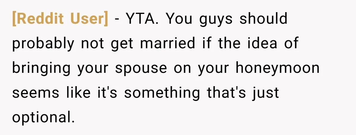 [Reddit User] − YTA. You guys should probably not get married if the idea of bringing your spouse on your honeymoon seems like it's something that's just optional.
