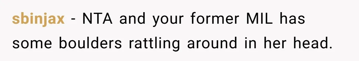 Ex-MIL Demands She Take In Her Ex’s Unwanted Child - She Fires Back sbinjax − NTA and your former MIL has some boulders rattling around in her head.