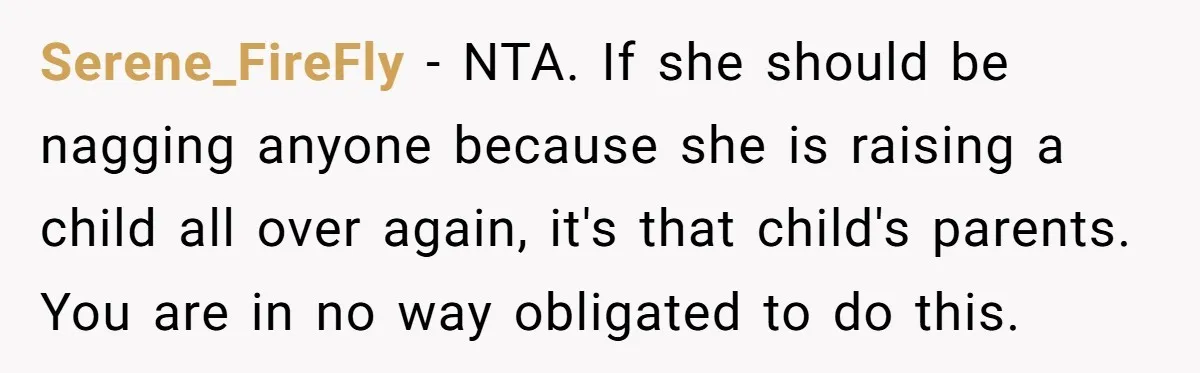Ex-MIL Demands She Take In Her Ex’s Unwanted Child - She Fires Back Serene_FireFly − NTA. If she should be nagging anyone because she is raising a child all over again, it's that child's parents. You are in no way obligated to do...