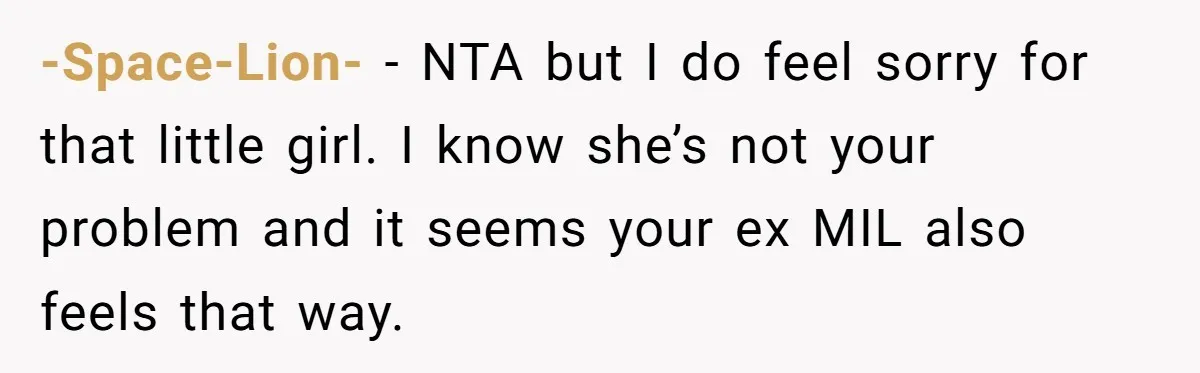 Ex-MIL Demands She Take In Her Ex’s Unwanted Child - She Fires Back -Space-Lion- − NTA but I do feel sorry for that little girl. I know she’s not your problem and it seems your ex MIL also feels that way.