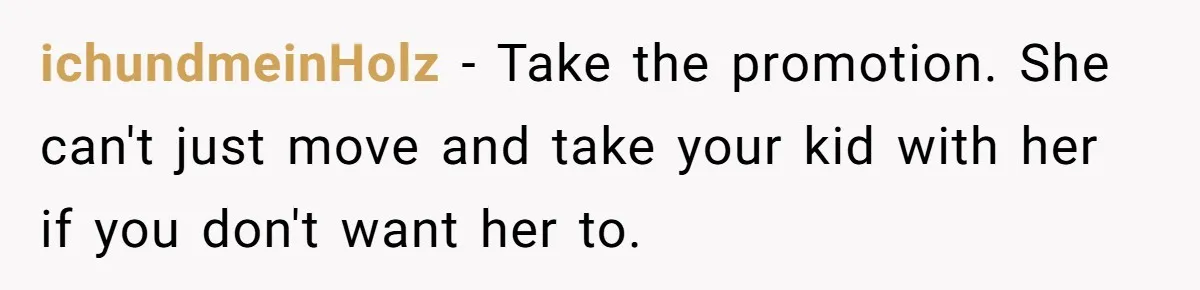 ichundmeinHolz − Take the promotion. She can't just move and take your kid with her if you don't want her to.