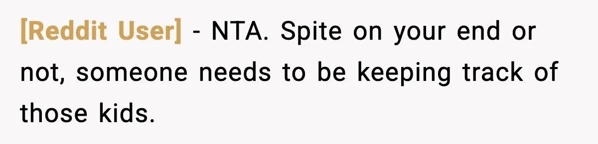 [Reddit User] − NTA. Spite on your end or not, someone needs to be keeping track of those kids.