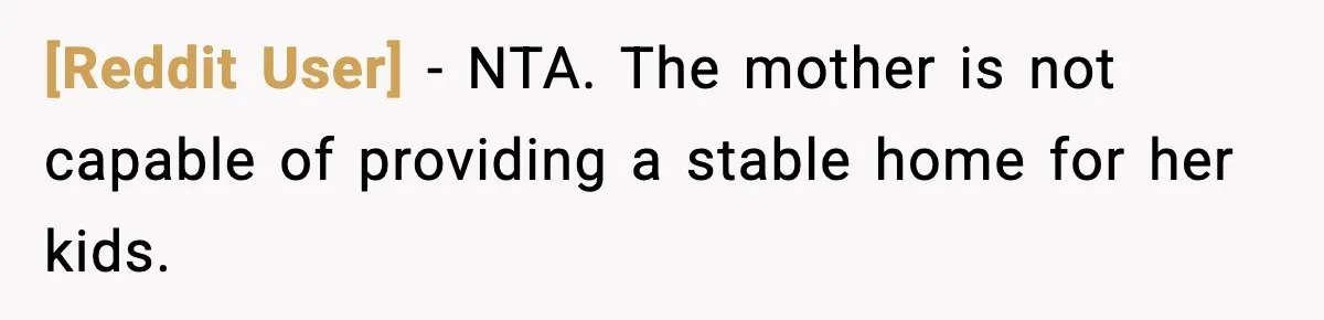 [Reddit User] − NTA. The mother is not capable of providing a stable home for her kids.