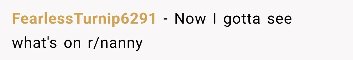 Couple Pays Nanny Double On Anniversary Trip, She Calls Them Heartless Anyway FearlessTurnip6291 − Now I gotta see what's on r/nanny