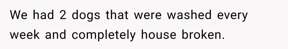 Buyers Demand $10K After Closing - So the Former Owners Got a Little Climate-Control Revenge We had 2 dogs that were washed every week and completely house broken.