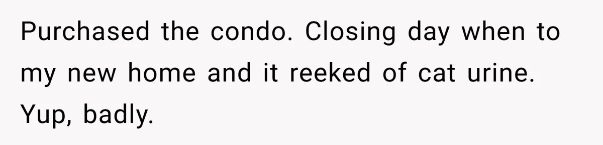 Buyers Demand $10K After Closing - So the Former Owners Got a Little Climate-Control Revenge Purchased the condo. Closing day when to my new home and it reeked of cat urine. Yup, badly.