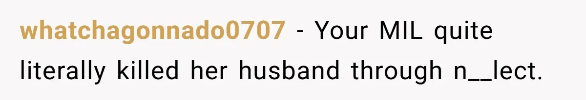 She Finally Exposed Her Mother-in-Law’s Manipulation - and It Blew Up the Entire Family whatchagonnado0707 − Your MIL quite literally killed her husband through n__lect.