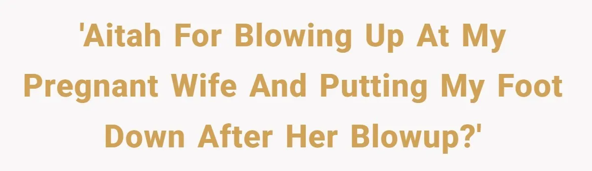Man Explodes After Pregnant Wife Insults Their Generous Landlord And Loses Cheap Rent 'AITAH for blowing up at my pregnant wife and putting my foot down after her blowup?'