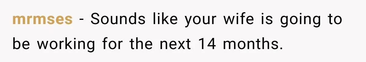 Man Explodes After Pregnant Wife Insults Their Generous Landlord And Loses Cheap Rent mrmses − Sounds like your wife is going to be working for the next 14 months.