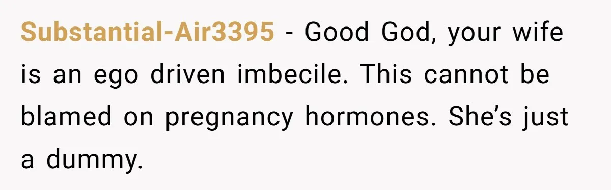 Man Explodes After Pregnant Wife Insults Their Generous Landlord And Loses Cheap Rent Substantial-Air3395 − Good God, your wife is an ego driven imbecile. This cannot be blamed on pregnancy hormones. She’s just a dummy.