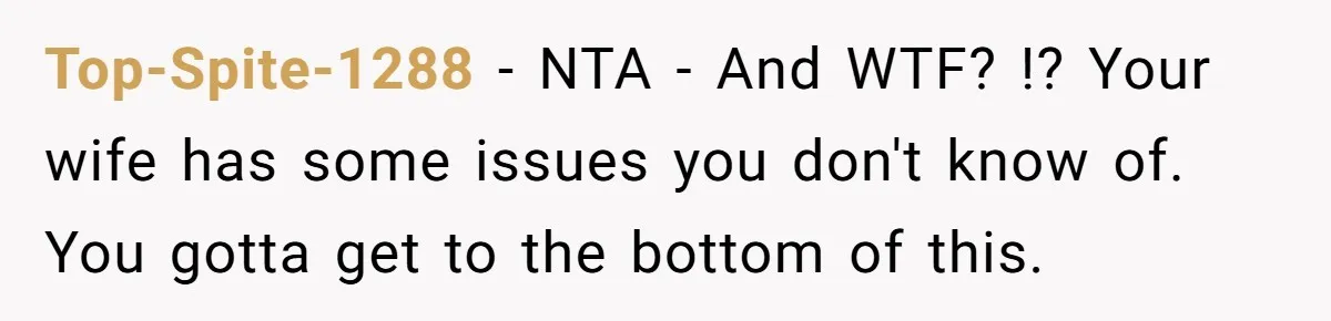 Man Explodes After Pregnant Wife Insults Their Generous Landlord And Loses Cheap Rent Top-Spite-1288 − NTA - And WTF? !? Your wife has some issues you don't know of. You gotta get to the bottom of this.