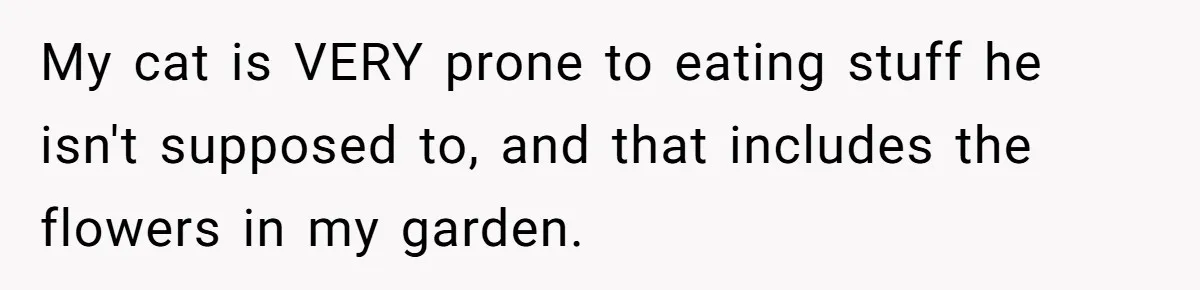 She Gave Her Sister One Rule to Stay - Protect the Cat. After Breaking It Three Times, She Kicked Them Out My cat is VERY prone to eating stuff he isn't supposed to, and that includes the flowers in my garden.