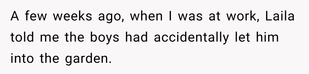She Gave Her Sister One Rule to Stay - Protect the Cat. After Breaking It Three Times, She Kicked Them Out A few weeks ago, when I was at work, Laila told me the boys had accidentally let him into the garden.