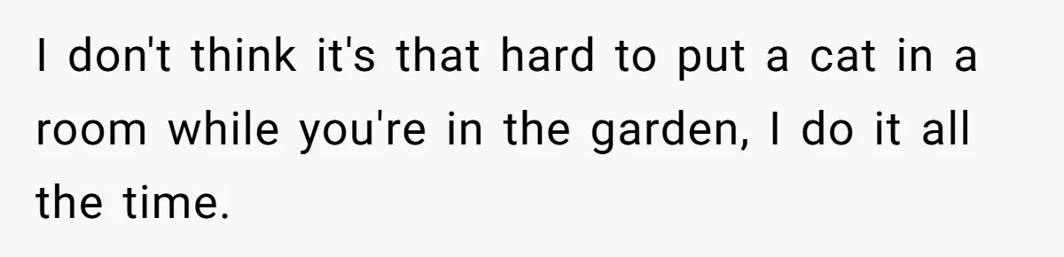 She Gave Her Sister One Rule to Stay - Protect the Cat. After Breaking It Three Times, She Kicked Them Out I don't think it's that hard to put a cat in a room while you're in the garden, I do it all the time.