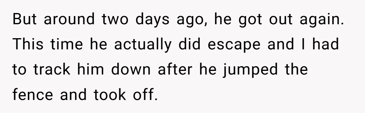 She Gave Her Sister One Rule to Stay - Protect the Cat. After Breaking It Three Times, She Kicked Them Out But around two days ago, he got out again. This time he actually did escape and I had to track him down after he jumped the fence and took off.