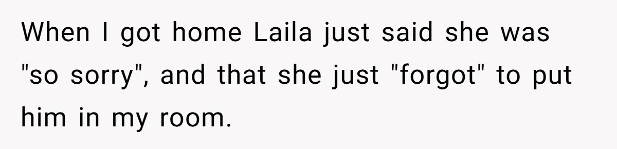 She Gave Her Sister One Rule to Stay - Protect the Cat. After Breaking It Three Times, She Kicked Them Out When I got home Laila just said she was "so sorry", and that she just "forgot" to put him in my room.
