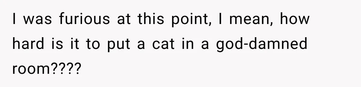 She Gave Her Sister One Rule to Stay - Protect the Cat. After Breaking It Three Times, She Kicked Them Out I was furious at this point, I mean, how hard is it to put a cat in a god-damned room????