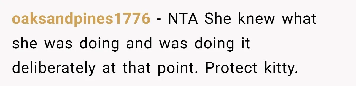 She Gave Her Sister One Rule to Stay - Protect the Cat. After Breaking It Three Times, She Kicked Them Out oaksandpines1776 − NTA She knew what she was doing and was doing it deliberately at that point. Protect kitty.