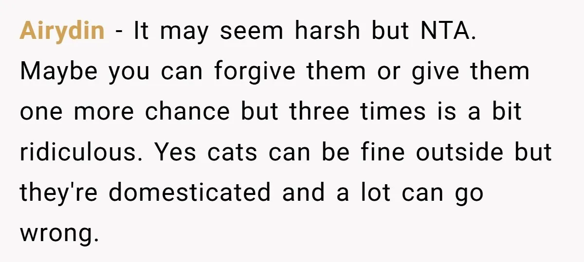 She Gave Her Sister One Rule to Stay - Protect the Cat. After Breaking It Three Times, She Kicked Them Out Airydin − It may seem harsh but NTA. Maybe you can forgive them or give them one more chance but three times is a bit ridiculous. Yes cats can be...