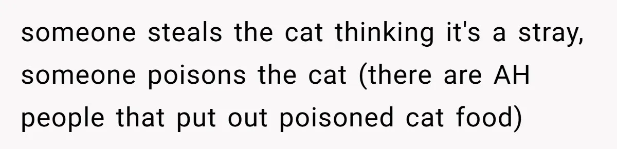 She Gave Her Sister One Rule to Stay - Protect the Cat. After Breaking It Three Times, She Kicked Them Out someone steals the cat thinking it's a stray, someone poisons the cat (there are AH people that put out poisoned cat food)