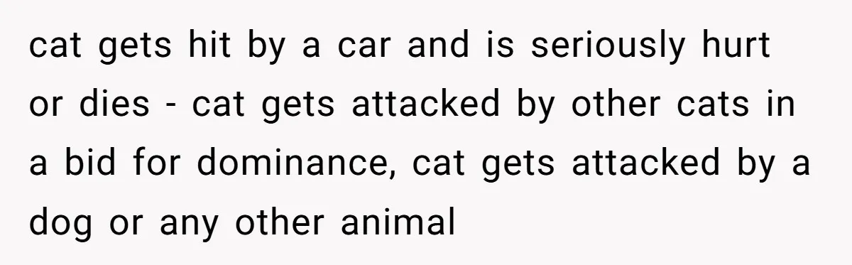 She Gave Her Sister One Rule to Stay - Protect the Cat. After Breaking It Three Times, She Kicked Them Out cat gets hit by a car and is seriously hurt or dies - cat gets attacked by other cats in a bid for dominance, cat gets attacked by a dog...