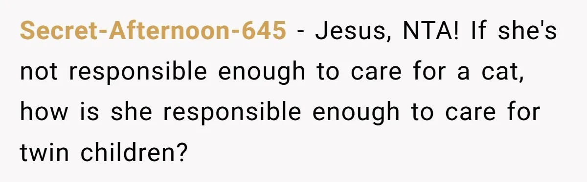 She Gave Her Sister One Rule to Stay - Protect the Cat. After Breaking It Three Times, She Kicked Them Out Secret-Afternoon-645 − Jesus, NTA! If she's not responsible enough to care for a cat, how is she responsible enough to care for twin children?